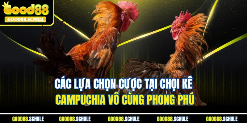 Các lựa chọn cược tại chọi kê Campuchia vô cùng phong phú