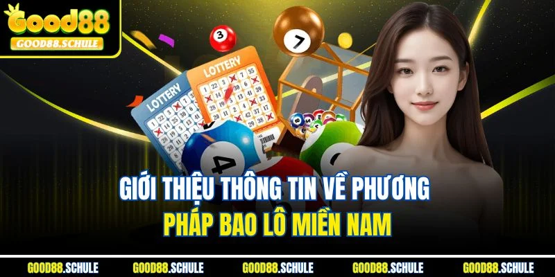 Giới thiệu thông tin về phương pháp bao lô miền Nam