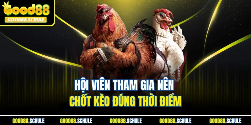Hội viên tham gia nên chốt kèo đúng thời điểm