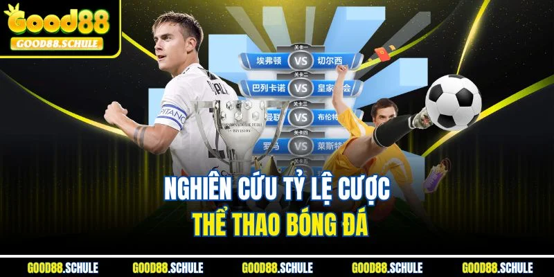 Nghiên cứu tỷ lệ cược thể thao bóng đá