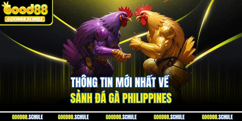 Thông tin mới nhất về sảnh đá gà Philippines