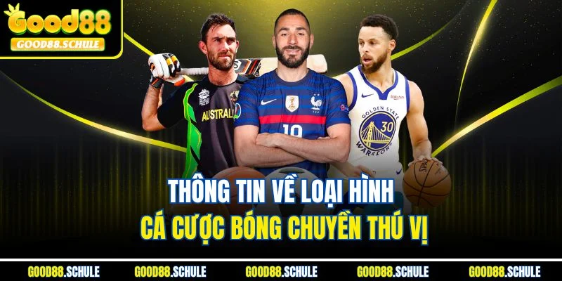 Thông tin về loại hình cá cược bóng chuyền thú vị