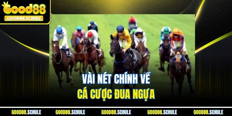 Vài nét chính về cá cược đua ngựa